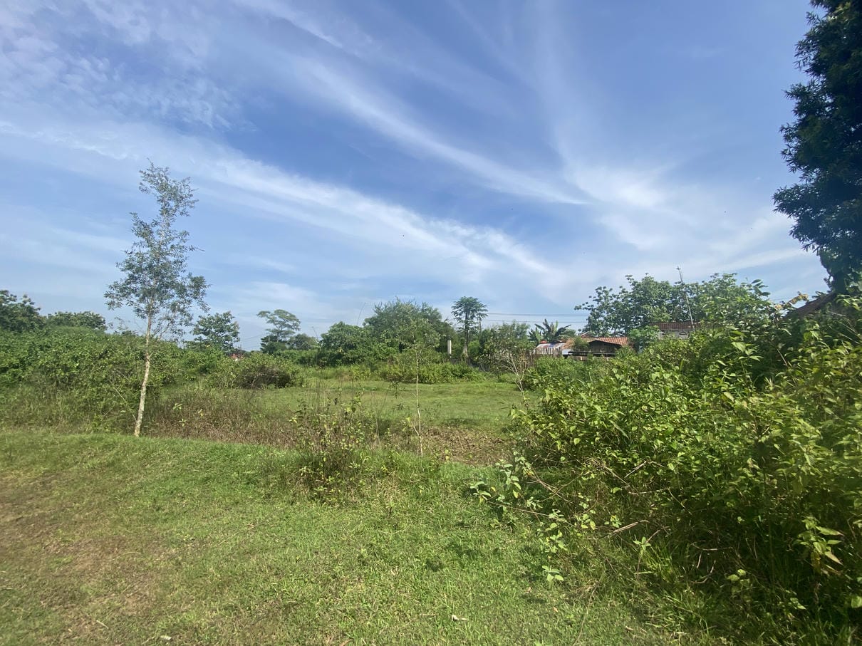 Sewa Aset Fasilitas Lapangan Golf - Foto 3