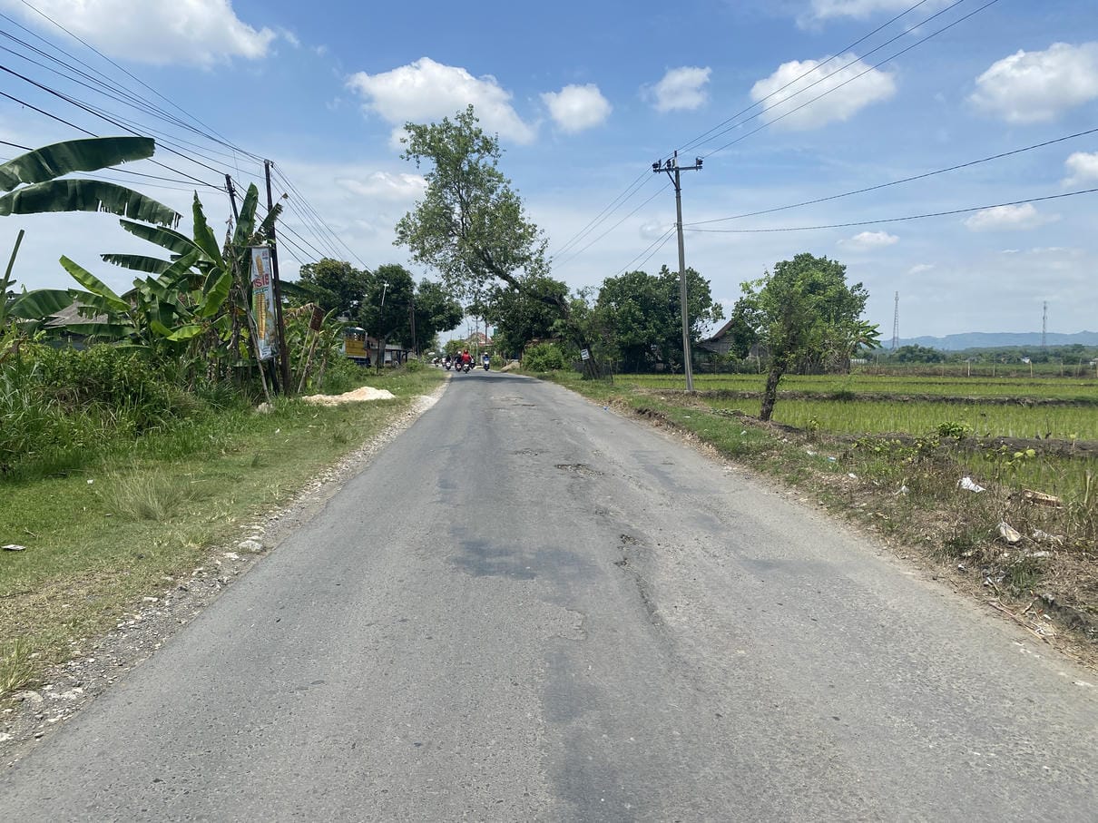 Sewa Aset Lahan Turirejo - Foto 1