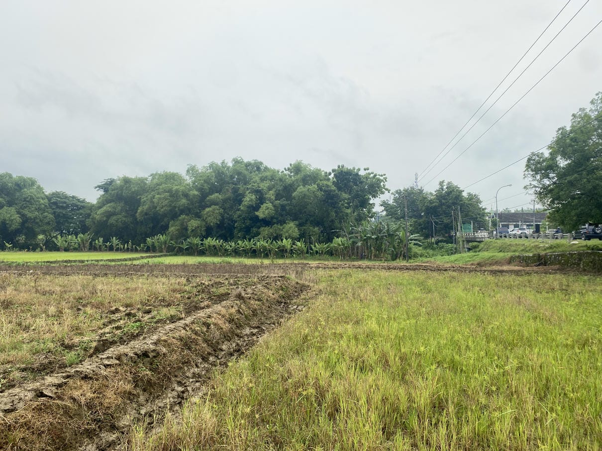 Sewa Aset Tanah Ex Bengkok Kelurahan Tempelan - Foto 4